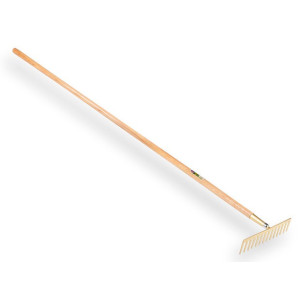 Asfalthark Atlas 14 rechte tanden